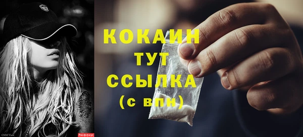 трава Арсеньев