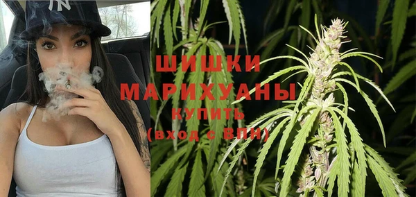 трава Арсеньев