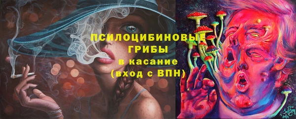 ПСИЛОЦИБИНОВЫЕ ГРИБЫ Армянск