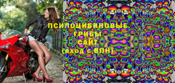 ПСИЛОЦИБИНОВЫЕ ГРИБЫ Армянск
