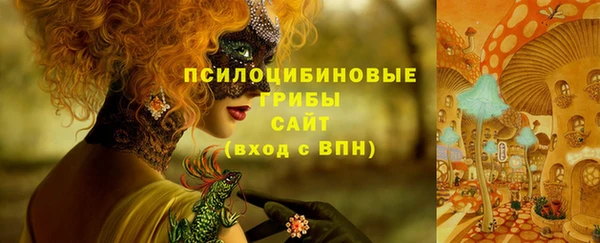 крисы Алексеевка