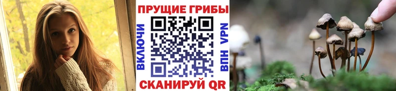 купить   MEGA ONION  Галлюциногенные грибы мицелий  Кириши 