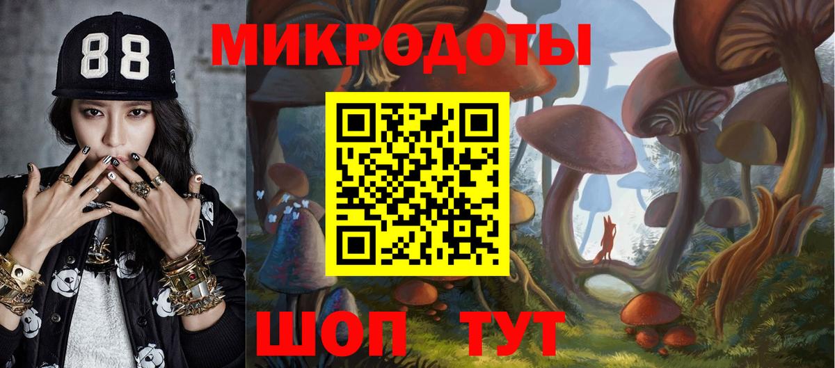Галлюциногенные грибы Psilocybine cubensis  Вход с VPN  Кириши 